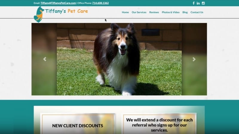 OLD TIFFANY'S PET CARE SITE BEFORE REDESIGN OLD TIFFANY'S PET CARE SITE BEFORE REDESIGN