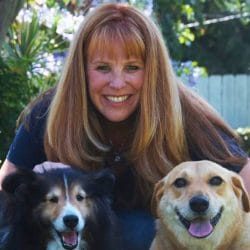 tiffanys pet care services